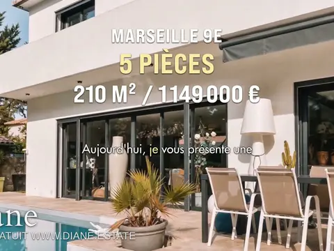 Villa contemporaine de style californien 