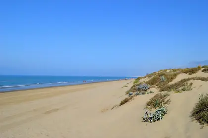 Elviria Marbella
