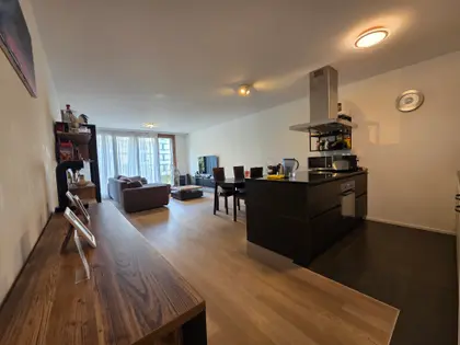 Charmant 4.5 pièces Minergie dans un eco quartier Lausannois (1)
