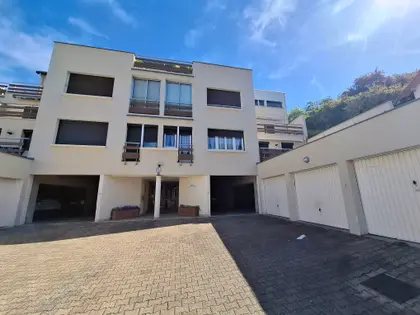 magnifique appartement avec grande terrasse (1)