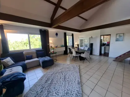 magnifique appartement avec grande terrasse (2)