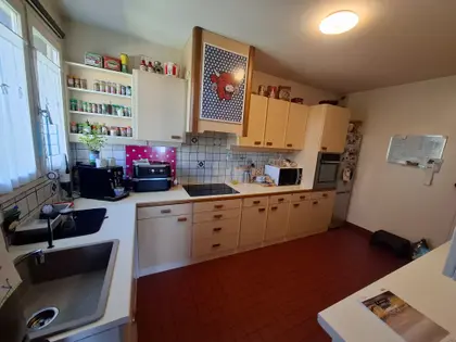 magnifique appartement avec grande terrasse (5)