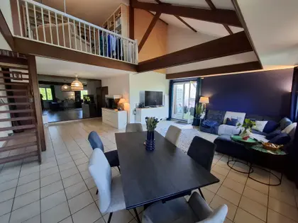 magnifique appartement avec grande terrasse (4)