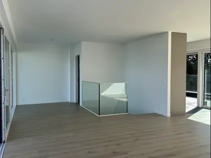 Magnifique appartement triplex (8)