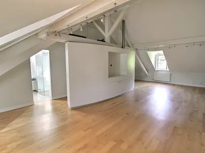 Magnifique triplex (7)