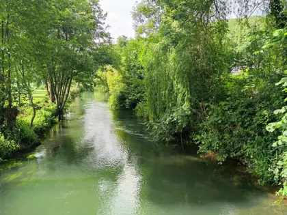 Propriété de caractère avec vue rivière, jardin paysager et volumes exceptionnels – EFFET WAOUH (25)
