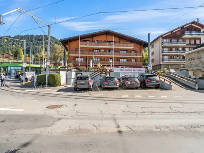 Appartement 2.5 pièces rénové au cœur de Villars (6)