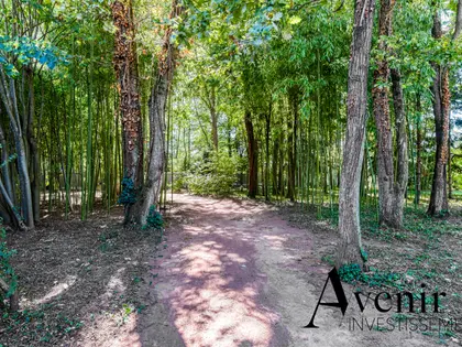 Ecully centre - Villa de caractère de 312m2 au coeur d'un terrain arboré - 6 suites (2)