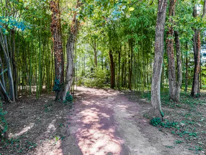Ecully centre - Villa de caractère de 312m2 au coeur d'un terrain arboré - 6 suites (30)