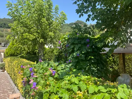 Bellissima casa in Toscana in pieno cuore della Versilia  (1)
