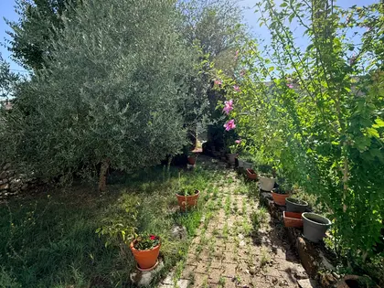 Maison de charme en pierre  (4)
