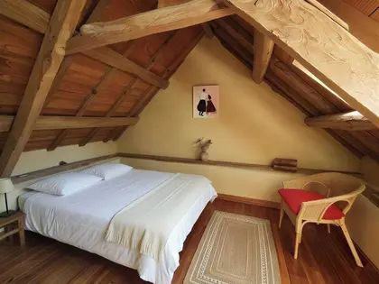 Propriété rénovée avec gîtes (14)