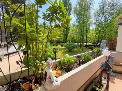 Terrasse, parking, verdure et DPE excellent  (6)