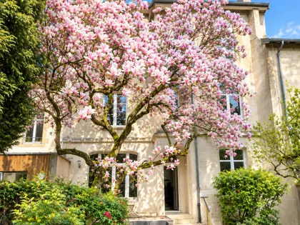 Maison rue émile gallé nancy  (12)