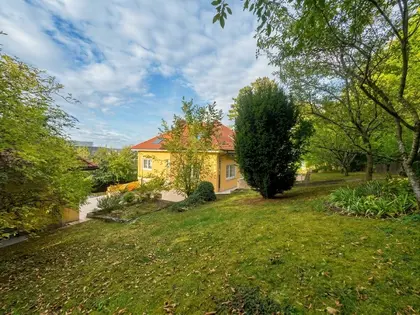Brabois - Propriété avec 2 maisons, 7 chambres et 1 400 m2 de verdure (4)