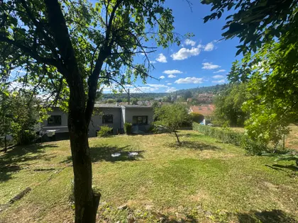 Maison rénovée et climatisée sur grand terrain arboré (4)
