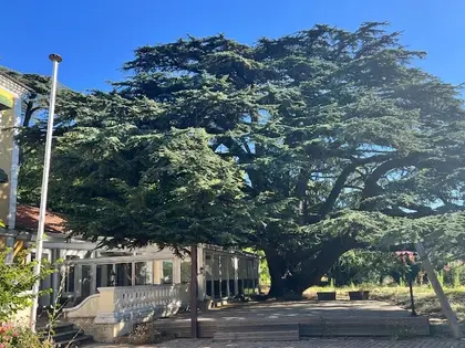 LA MUSARDIÈRE Domaine du Château du Sénateur & sa Châtaigneraie (45)
