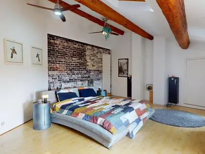Appartement d’exception dans un Hôtel Particulier (5)