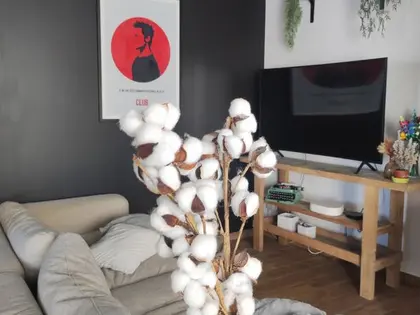 Maison de ville 5 pièces 86 m² (5)