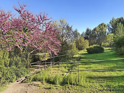 PROPRIÉTÉ ÉQUESTRE À GRASSE LIMITE MOUANS-SARTOUX (17)