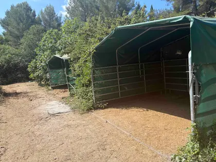 PROPRIÉTÉ ÉQUESTRE À GRASSE LIMITE MOUANS-SARTOUX (17)