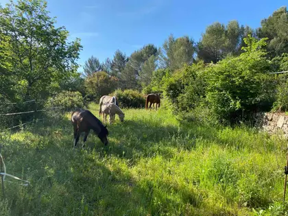 PROPRIÉTÉ ÉQUESTRE À GRASSE LIMITE MOUANS-SARTOUX (19)