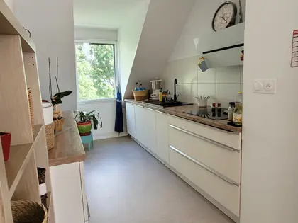 Appartement T3 cosy  (3)