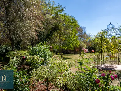 GRANDE MAISON EN BORDURE DE FORET (39)