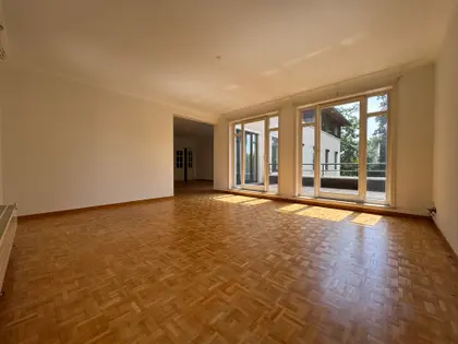 Spacieux appartement avec terrasse (8)