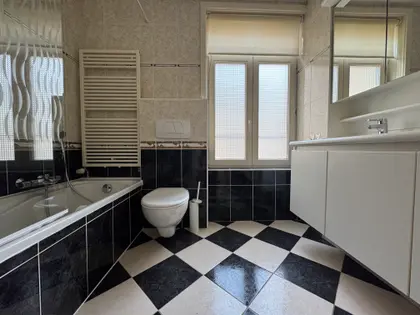 Spacieux appartement avec terrasse (3)