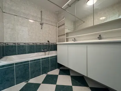 Spacieux appartement avec terrasse (6)