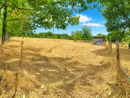 Propriété de caractère sur 5 hectares – Maison de maître & potentiel équestre (4)