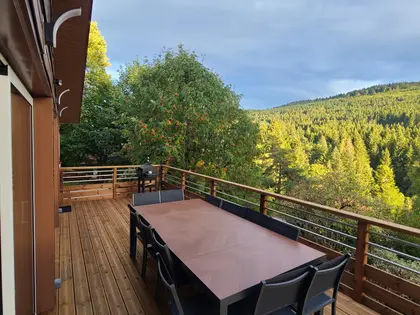Chalet prestige - vue panoramique - 13 pers - proximité de Gérardmer et Longemer  (6)