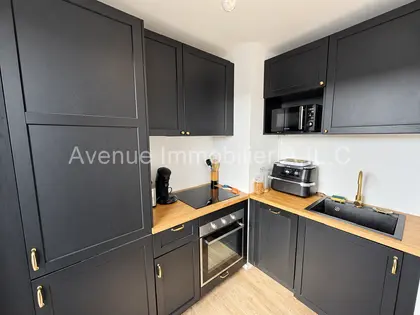 F3 TERRASSE DE 2020. MEAUX CENTRE. (8)