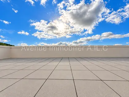 F3 TERRASSE DE 2020. MEAUX CENTRE. (12)