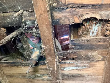 Cabane bois « idéal stockage » (3)