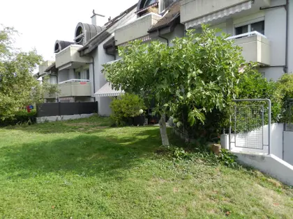 Mex, près de Lausanne  (1)