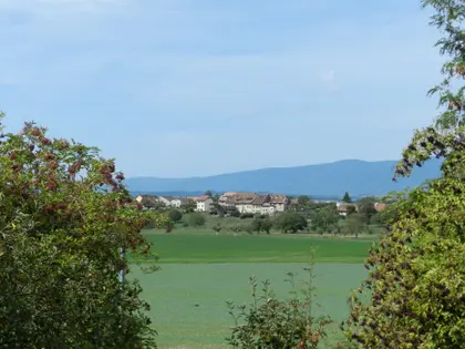 Mex, près de Lausanne  (8)