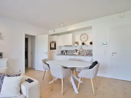 Lumineux appartement 1 chambre dans le quartier de l Orne (2)