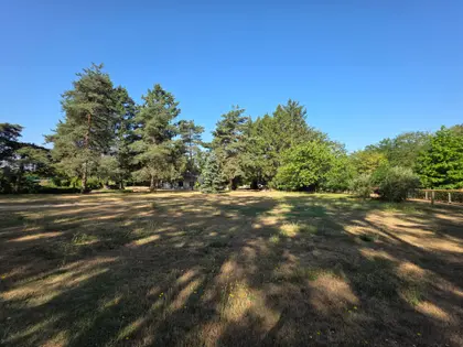 Belle propriété avec piscine et accès à la Loire (10)