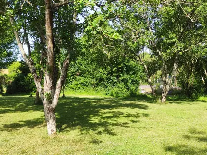 Notre belle Maison vendeen a vendre (13)