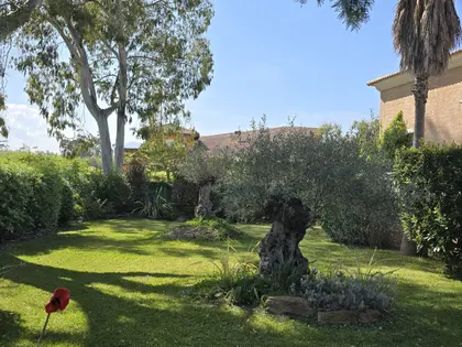 Belle Maison bord de mer  (8)