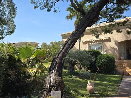 Belle Maison bord de mer  (9)