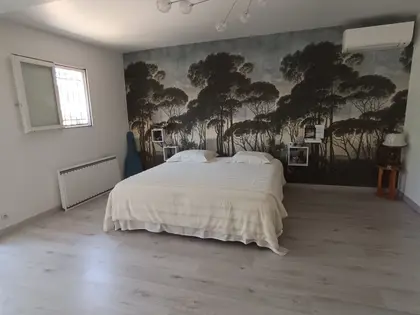 Belle maison 210 M2 habitables (1)