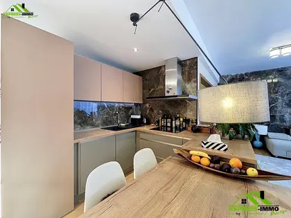 Superbe appartement rénové  (18)