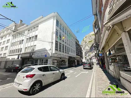 Superbe appartement rénové  (7)