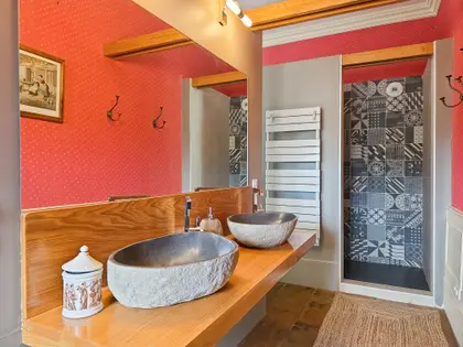 Maison 16 pièces - 484 m² - Andancette (40)