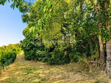 Maison familiale 4 chambres, terrain avec hangar de 57 m² (21)