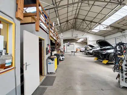 Propriété hors norme - Maison, ateliers, local professionnel, étang... (8)