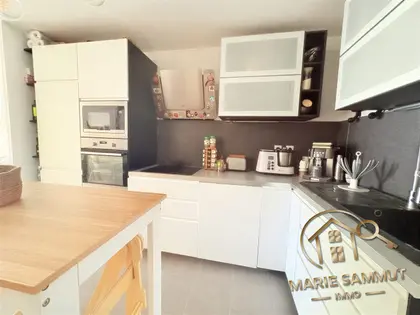 Magnifique appartement T3 + 100 m2 de jardin - Saint-Jean-de-Védas (4)